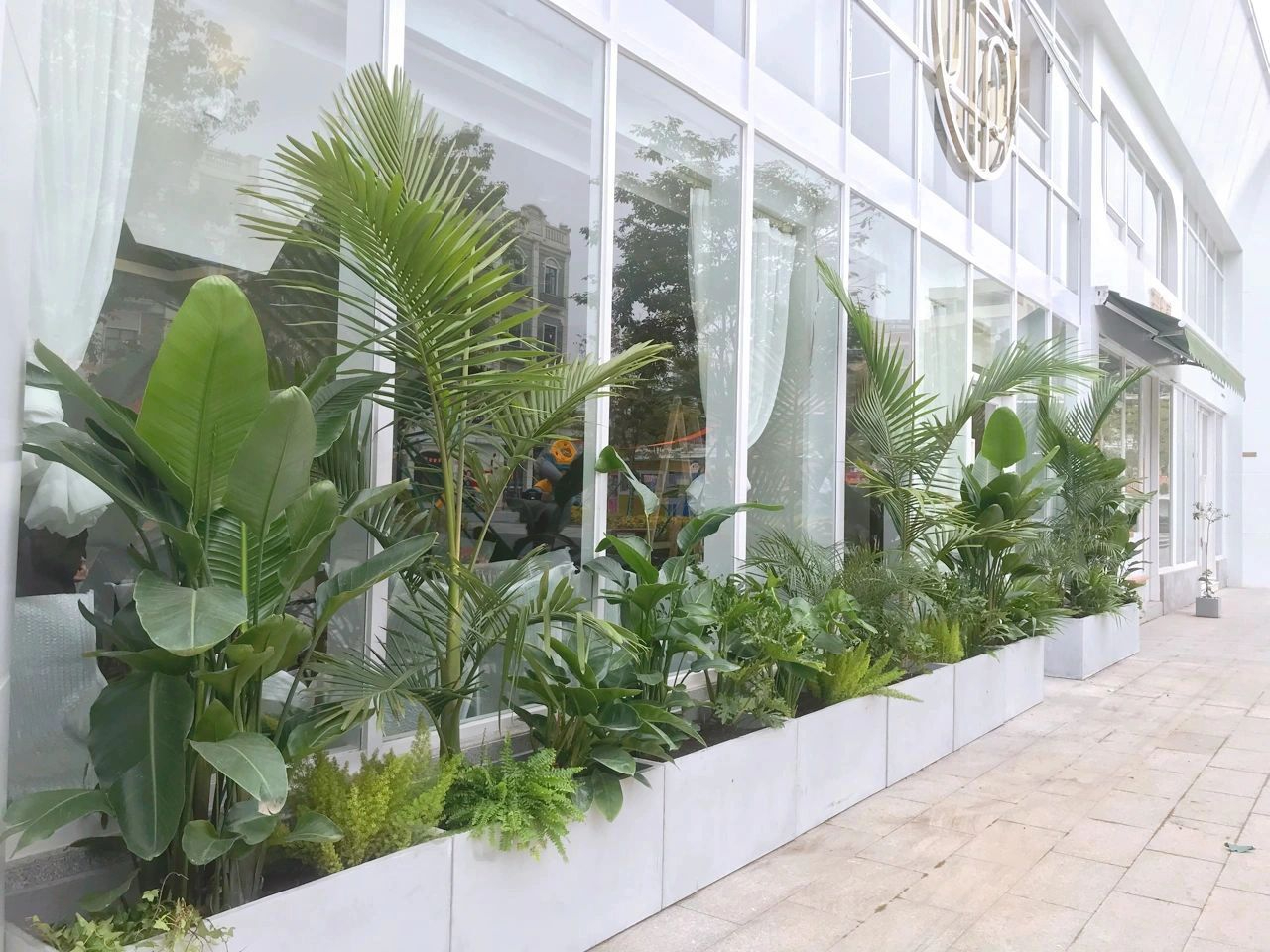 商業(yè)街區外圍花箱改造升級
